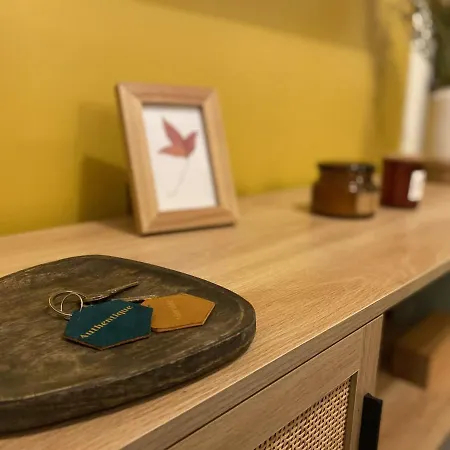 Exceptionnel ! Superbe Refait A Neuf En Rez-de-chaussee Avec Parking Prive Castres (Tarn)