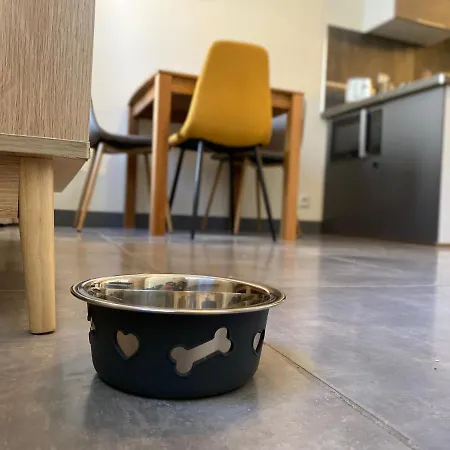 Exceptionnel ! Superbe Refait A Neuf En Rez-de-chaussee Avec Parking Prive * Castres (Tarn)