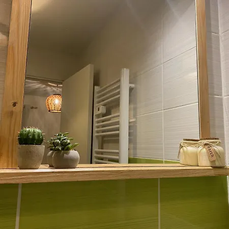 Exceptionnel ! Superbe Refait A Neuf En Rez-de-chaussee Avec Parking Prive * Castres (Tarn)